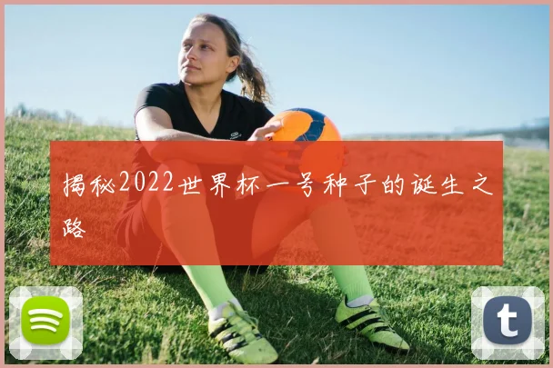 揭秘2022世界杯一号种子的诞生之路