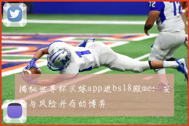 揭秘世界杯买球app进bs18殿me:安全与风险并存的博弈
