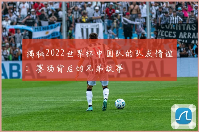 揭秘2022世界杯中国队的队友情谊：赛场背后的兄弟故事