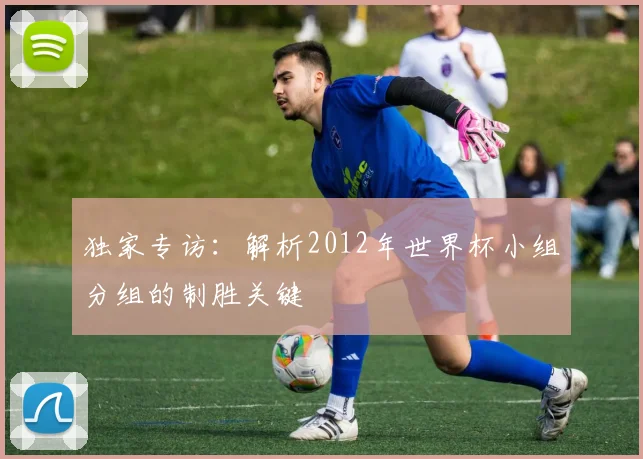 独家专访:解析2012年世界杯小组分组的制胜关键