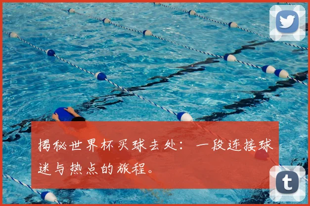 揭秘世界杯买球去处:一段连接球迷与热点的旅程。