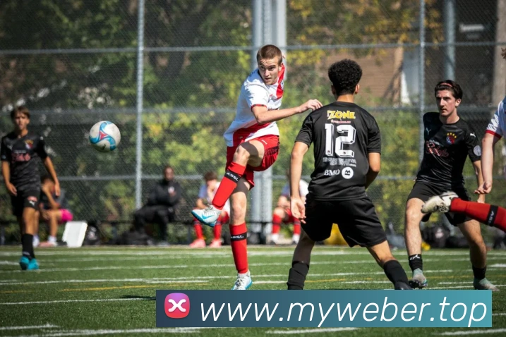 mksports官网登录入口发展历程